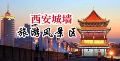 操大肥逼中国陕西-西安城墙旅游风景区