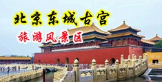 狠狠地插极品人妻中国北京-东城古宫旅游风景区